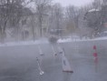 /album/varosliget-02-10-/vliget-02-10-012-jpg1/